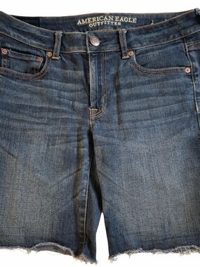 American Eagle Outfitters Dark Wash Denim Cutoff Shorts